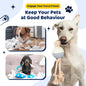 Durable Knot Rope and Ball Dog Toy - Interactive Chew and Tug Play for Pets