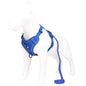 Blue Reflective Mesh Dog Harness and Leash Set - Adjustable No-Pull Vest - M