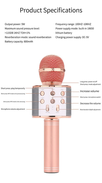 Black Bluetooth 5.0 Karaoke Microphone for Family Entertainment