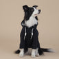 Black Classic Dog Sweatshirt with Hood & Drawstrings - For Large Dogs (Size : 2XL)