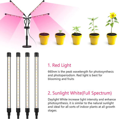 Black Adjustable 4-Head LED Grow Light - Full Spectrum Desktop Plant Lamp with Telescopic Stand, USB Powered for Indoor Seedlings & Flowers