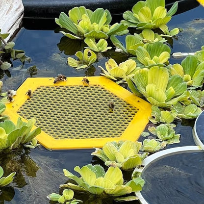 2PCS S 180x160x3mm Yellow Floating Bee Saver Waterer - Safe Drinking Platform for Garden Ponds & Bird Baths