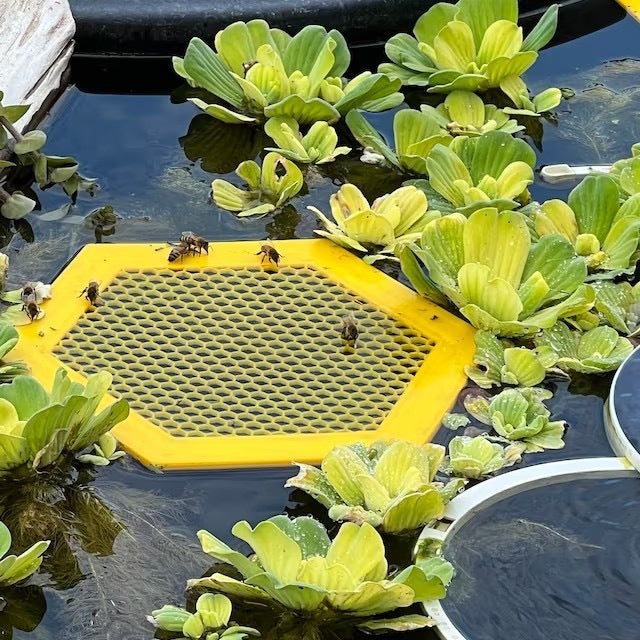 2PCS L 210x180x3.5mm Yellow Floating Bee Saver Waterer - Safe Drinking Platform for Garden Ponds & Bird Baths