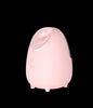 Nano Ionic Facial Steamer - Deep Hydration Hot Mist Face Steamer for Home Spa & Skincare(pink)