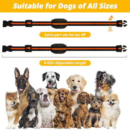 Ultra-Small & Lightweight Dog Training Collar with Remote - 3 Modes, Adjustable Levels, Fits All Sizes(black)
